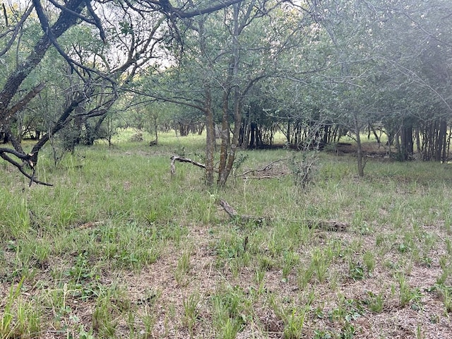 0 1st Unit 1St, Loraine, TX 79532 - photo 8