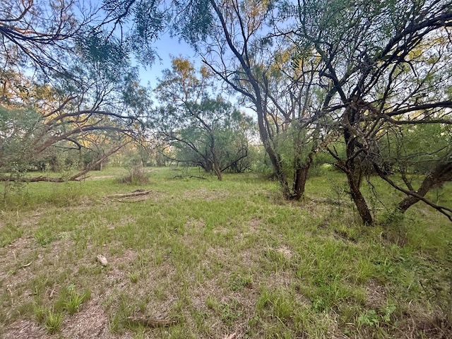 0 1st Unit 1St, Loraine, TX 79532 - photo 7