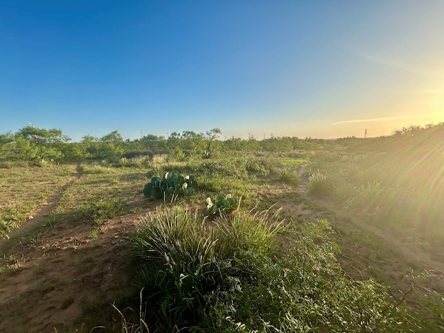0 1st Unit 1St, Loraine, TX 79532 - photo 20
