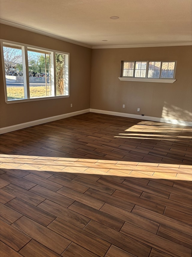 unfurnished room with ornamental molding and hardwood / wood-style floors