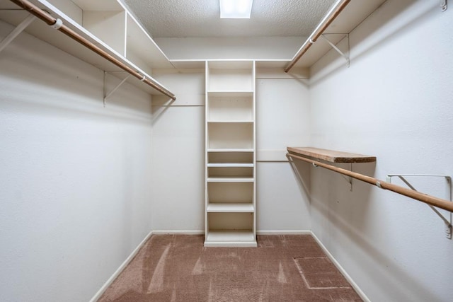 walk in closet featuring dark colored carpet