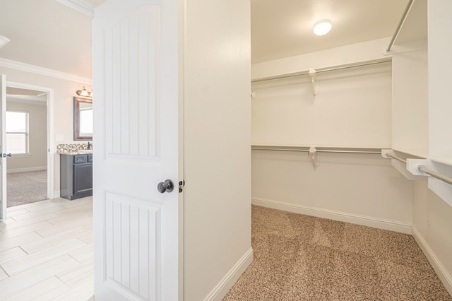 spacious closet featuring light colored carpet