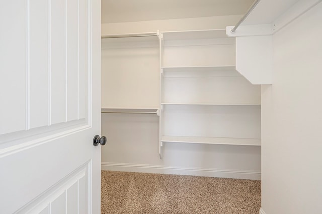 spacious closet featuring light carpet