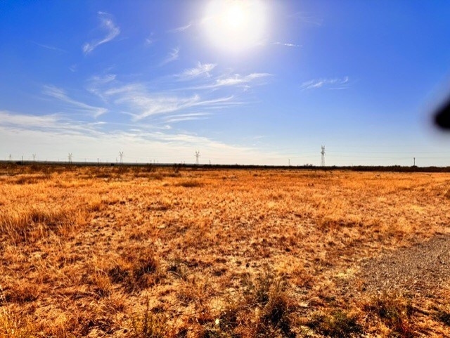 TBD Fm 461, Big Spring, TX 79720