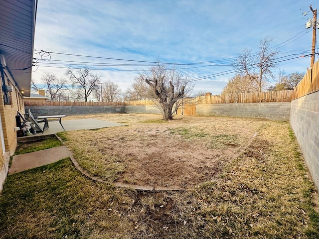 view of yard featuring a patio area