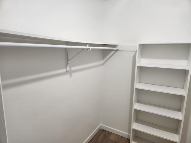 walk in closet featuring dark wood-type flooring