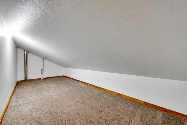 additional living space with lofted ceiling, a textured ceiling, and carpet