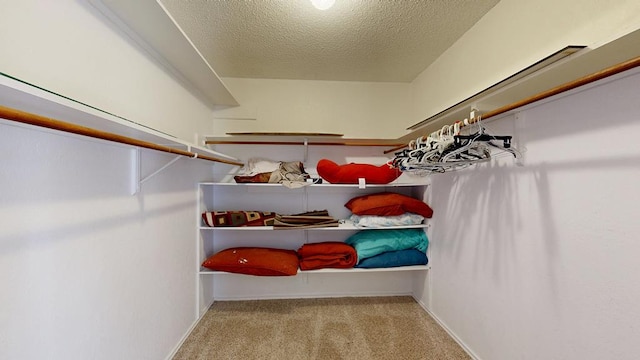 4203 Skyline Dr, Midland, TX 79707 - spacious closet with carpet floors
