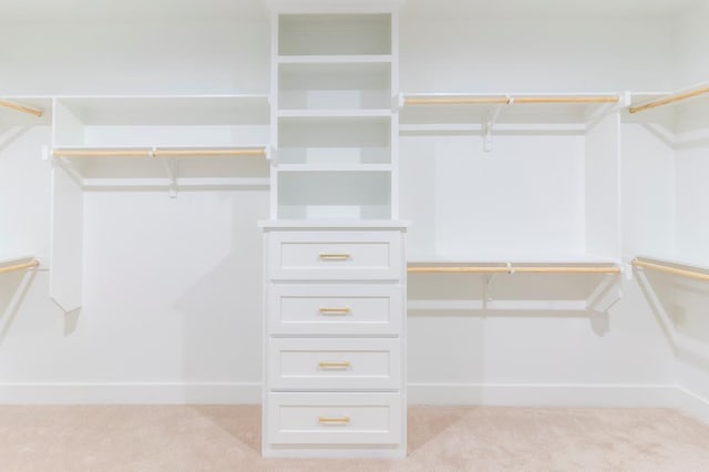 6407 W County Rd 41, Midland, TX 79707 - walk in closet with light colored carpet