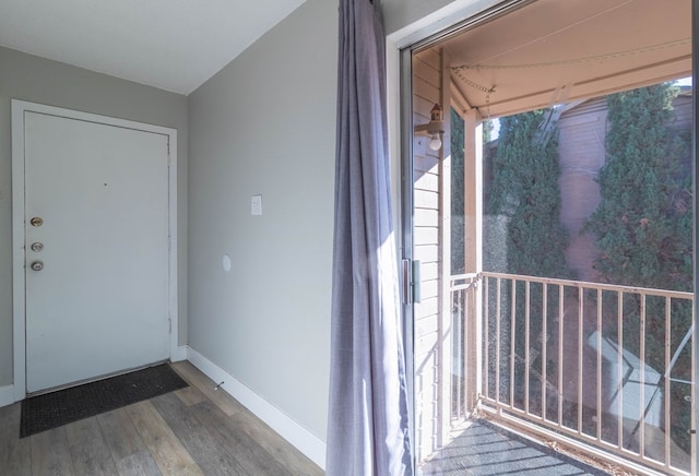 doorway featuring wood-type flooring and a wealth of natural light