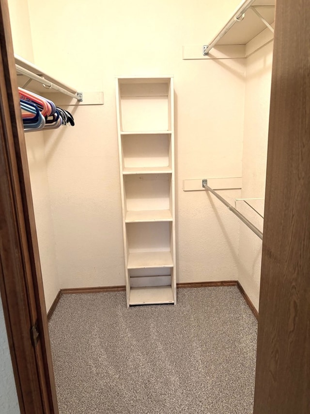 walk in closet featuring carpet flooring