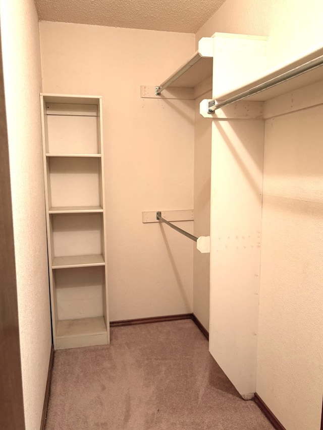 spacious closet with carpet