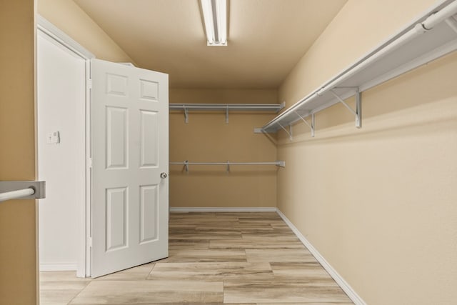 3502 Wedgewood St, Midland, TX 79707 - walk in closet with light wood-style flooring