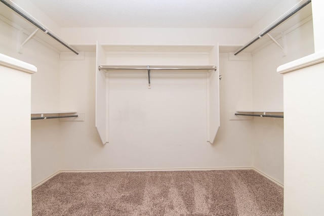 walk in closet featuring carpet