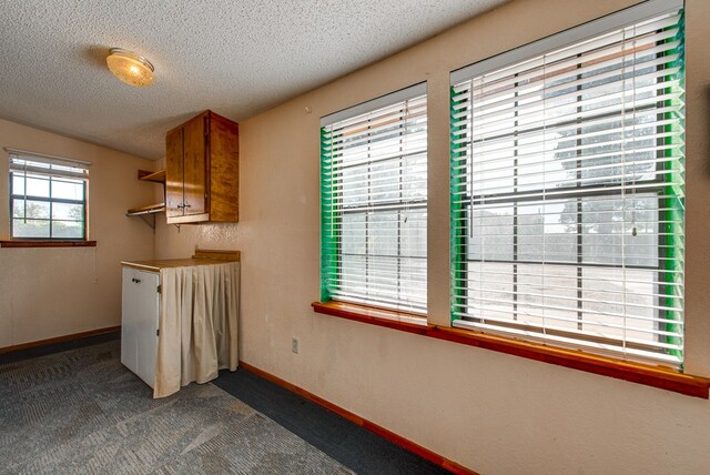 interior space with baseboards, a textured ceiling, and dark carpet