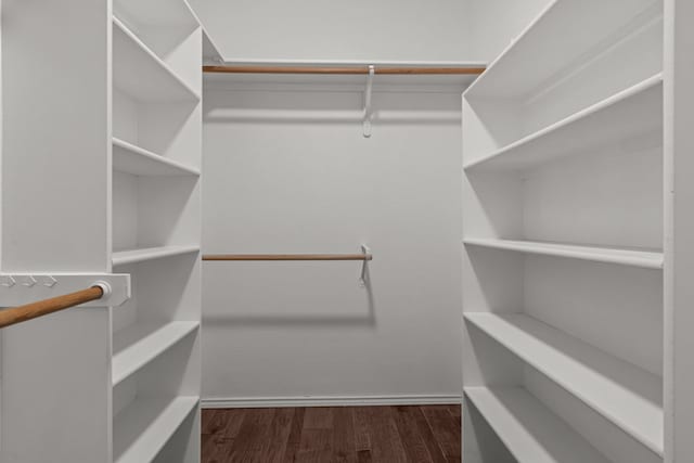 spacious closet featuring dark wood-style floors