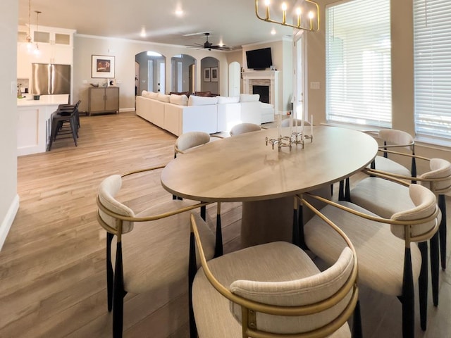 dining room with light hardwood / wood-style floors, ceiling fan, and ornamental molding