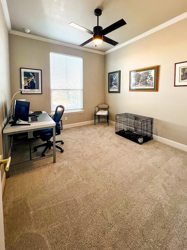 office area with carpet floors, ceiling fan, and crown molding