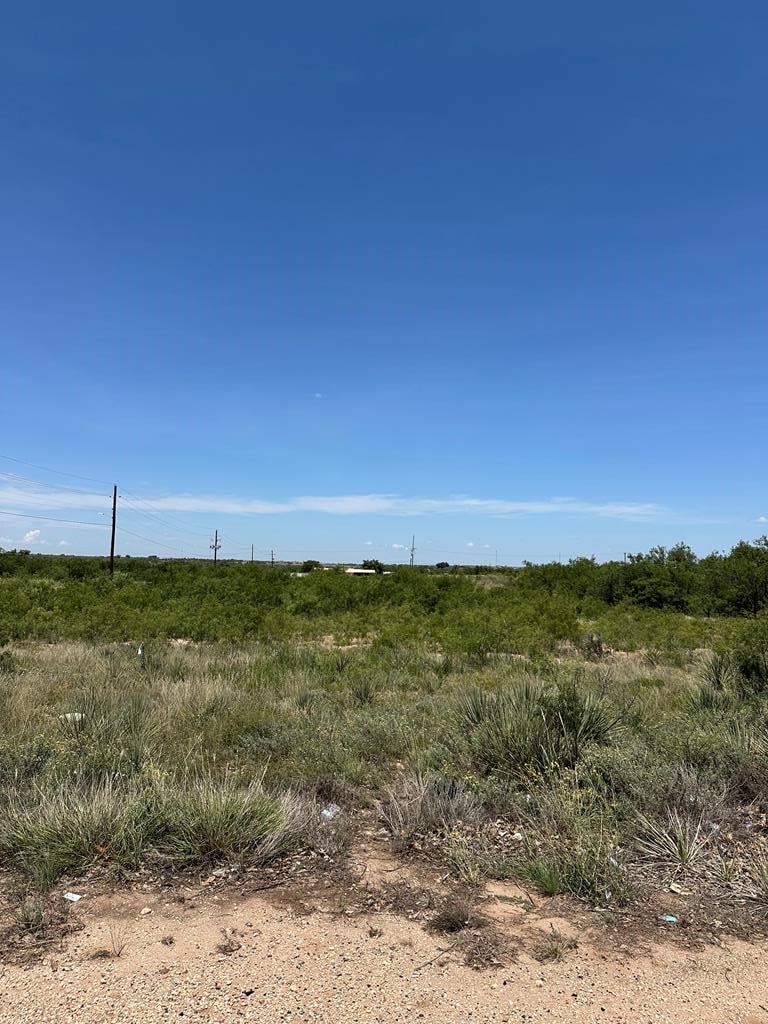 000 Houston, Snyder, TX 79549 - photo 1