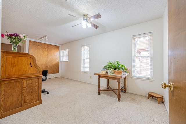 office featuring light carpet, track lighting, a textured ceiling, and a healthy amount of sunlight