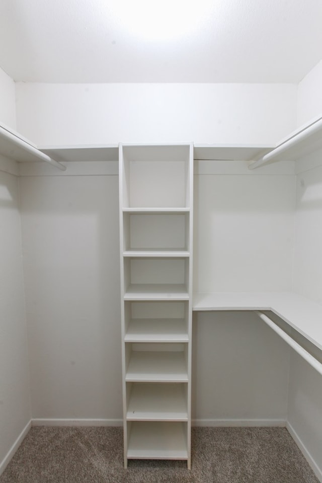 spacious closet with carpet