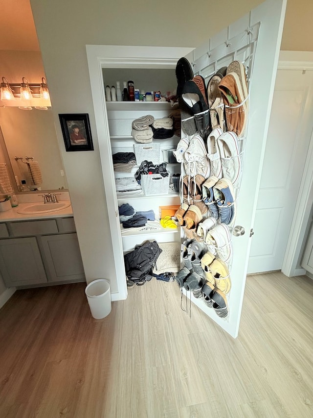 details featuring hardwood / wood-style flooring and sink