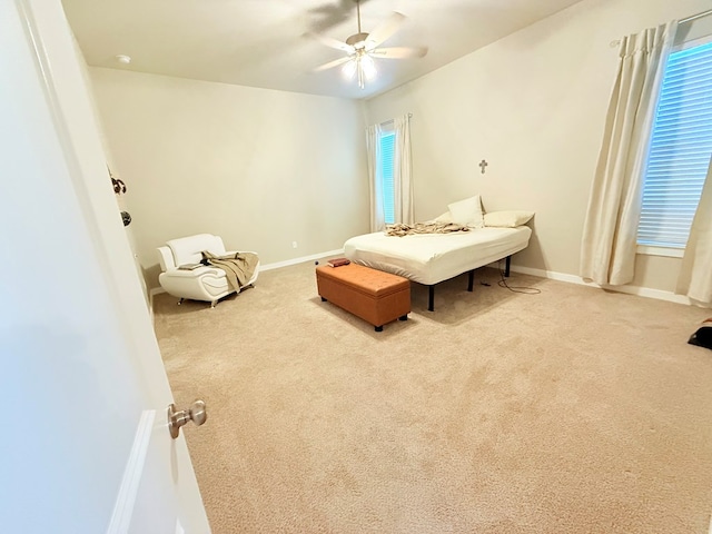 bedroom featuring ceiling fan, carpet flooring, and multiple windows