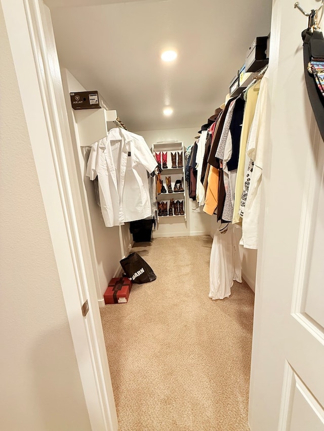 spacious closet with light carpet