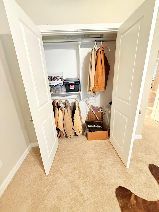 view of closet