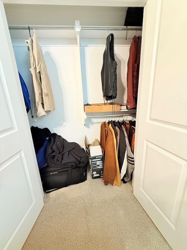 view of closet