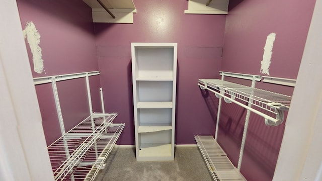 walk in closet featuring carpet floors