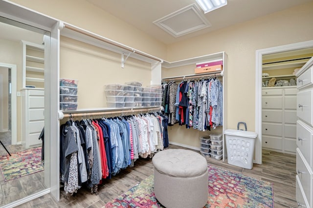 walk in closet with wood finished floors and attic access