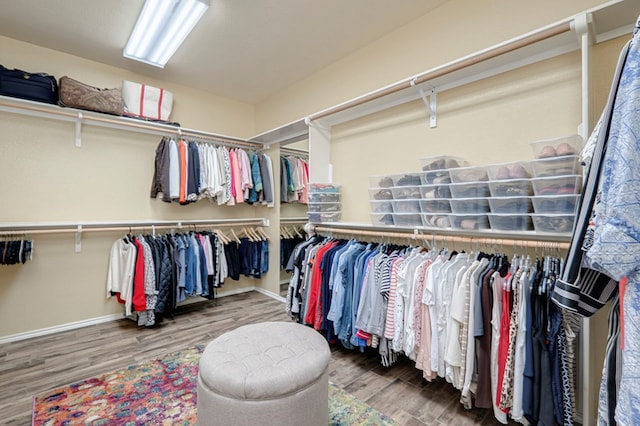 spacious closet featuring wood finished floors