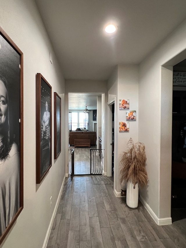 8409 E County Rd 113, Midland, TX 79706 - hallway with wood finished floors and baseboards