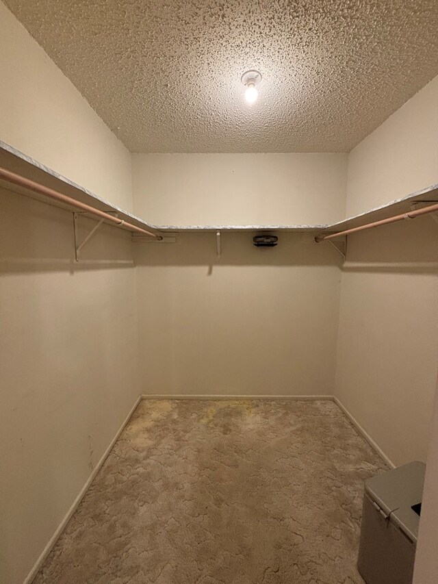 4110 Kerrville Ave, Snyder, TX 79549 - photo 24