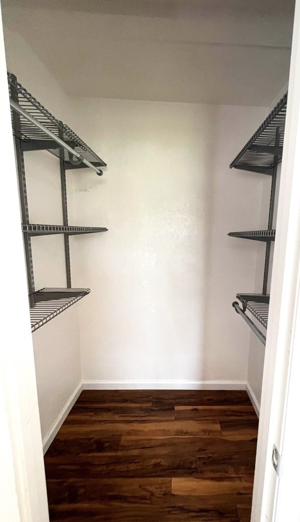 spacious closet featuring wood finished floors