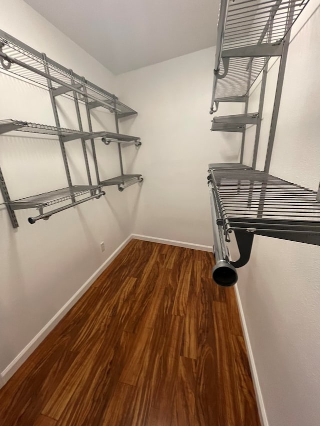 spacious closet featuring wood finished floors