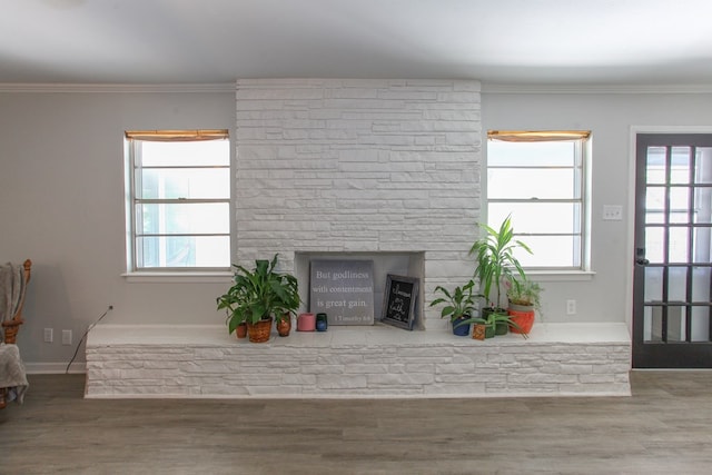 living room with ornamental molding, wood finished floors, a wealth of natural light, and a fireplace