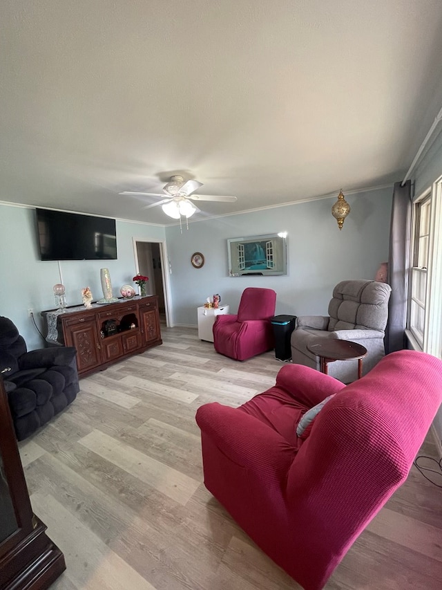 2804 33rd St, Snyder, TX 79549 - living room featuring light wood-style flooring, ceiling fan, and crown molding