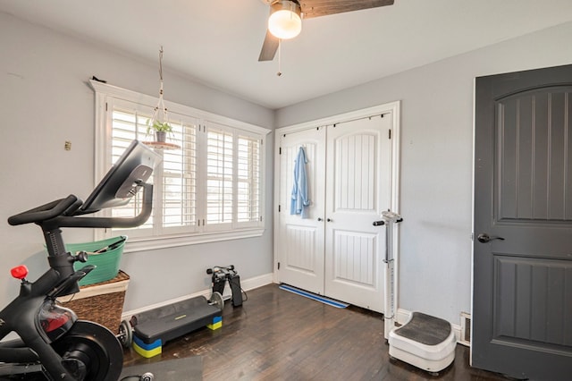 exercise area with dark hardwood / wood-style floors and ceiling fan