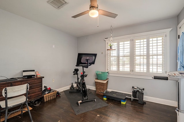 workout area featuring dark hardwood / wood-style flooring and ceiling fan