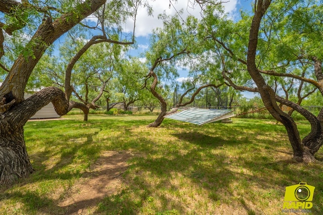 10561 Twin Lakes Ln, San Angelo, TX 76904 - photo 43