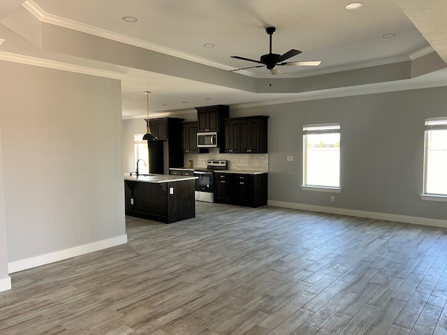 kitchen with stainless steel appliances, a tray ceiling, an island with sink, and a wealth of natural light