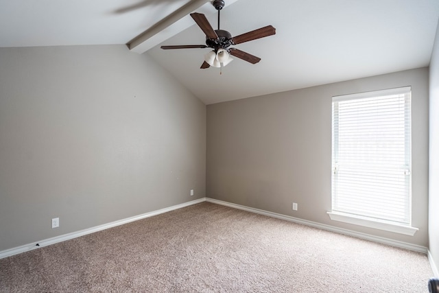 6003 Wichita Ct, Midland, TX 79707 - photo 18