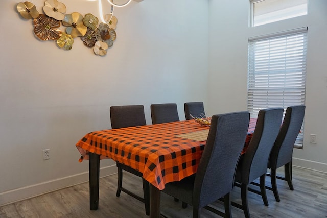 dining room featuring wood-type flooring