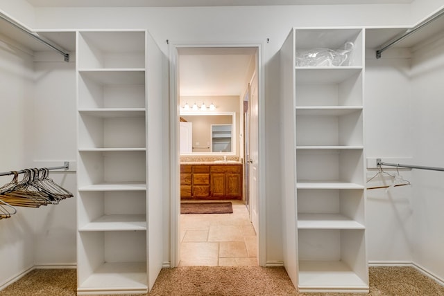 spacious closet featuring a sink and light colored carpet
