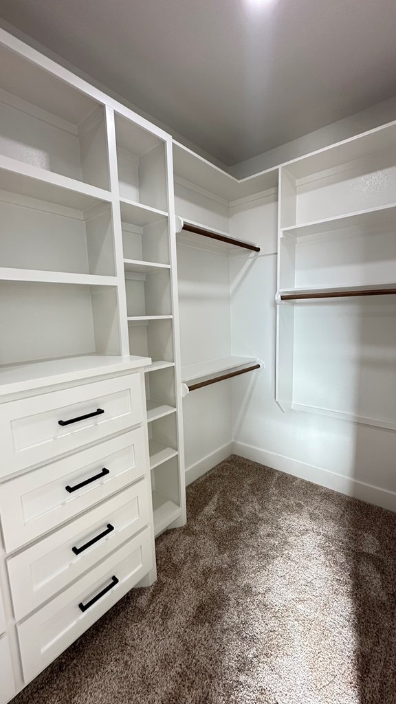 spacious closet with dark carpet