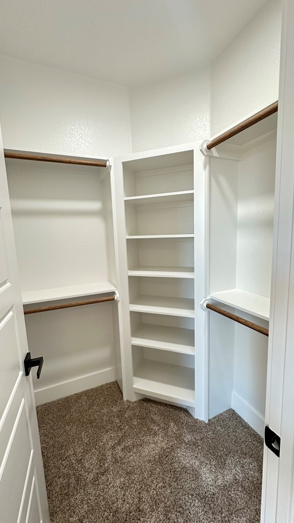 walk in closet with carpet