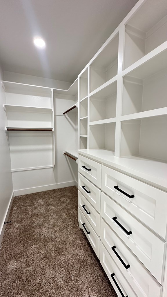 walk in closet with dark colored carpet