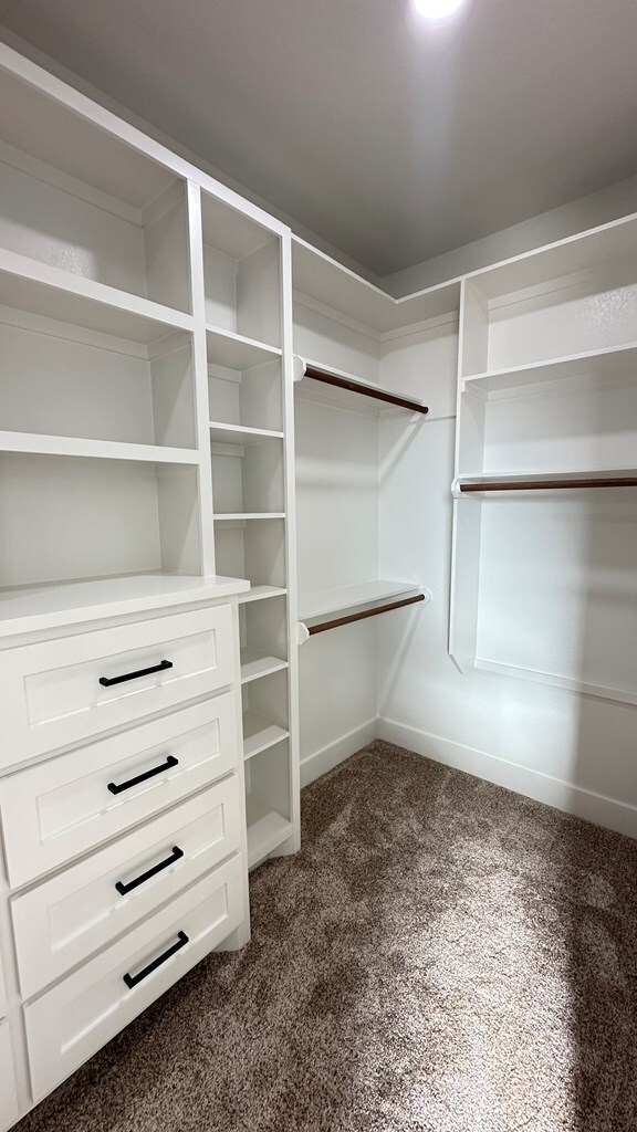 spacious closet with dark colored carpet